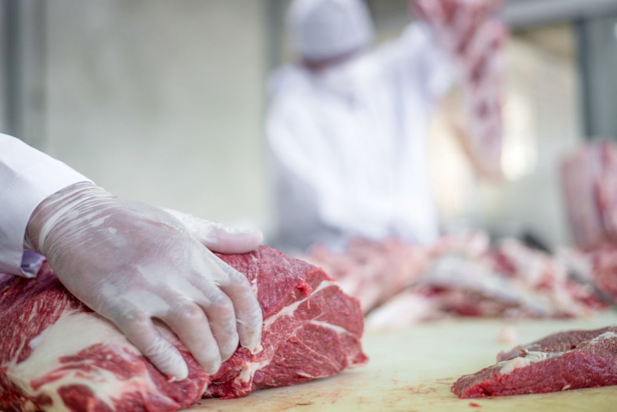 Lavorazione e trasformazione di carne Macelleria e salumeria da Luca  B.R. CARNI SAS a Cepagatti PE (Pescara)